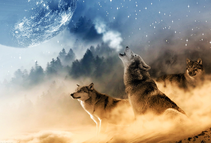 篷房租賃,篷房出租,倉(cāng)儲(chǔ)篷房,婚慶篷房,篷房廠家,篷房